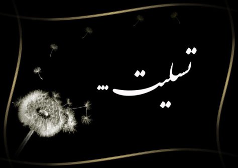 پیام تسلیت به حیدر سلیمانی پیام تسلیت به حیدر سلیمانی