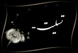 پیام تسلیت در پی درگذشت منوچهر شفقتیان