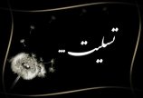 پیام تسلیت به هوشنگ نصیرزاده