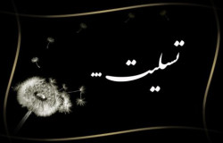 پیام تسلیت به عباس چناری
