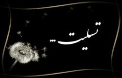 پیام تسلیت به هوشنگ نصیرزاده