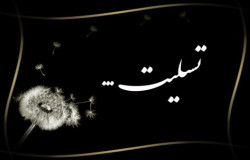 پیام تسلیت به علی فیض الله زاده
