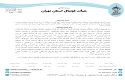 رای پیروزان فوتبال تکین - نام آوران شاهین مارلیک
