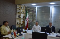 تاکید مدیرکل بر حمایت همه جانبه از تیم های تهرانی در لیگ های کشور