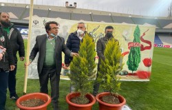 کاشت درخت به یاد شهدای ورزشکار در بازی های تهران
