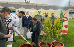 کاشت درخت به یاد شهدای ورزشکار در بازی های تهران