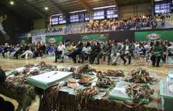 اختتامیه دو هزار نفری فوتبال و فوتسال بانوان اسلامشهر