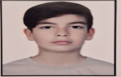 آرش بخشی