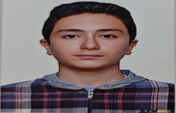 آرتین پوررکنی