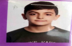 مهدی داداشی