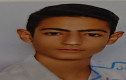 محمدعلی محمدی