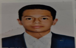 محمدپارسا پرویزی
