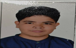 آراد استیری