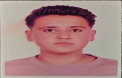 امیرعلی فریورلیلان