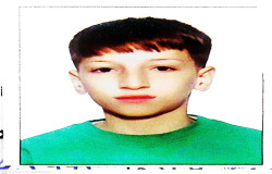 محمدطا گل پری