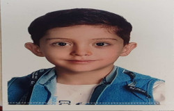 امیرطاها فصیحی