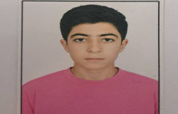 سعید کردلو