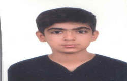 بهراد ابراهیم پور