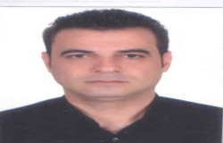 محمدمهدی سلگی