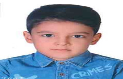محمد پارسا عباس پور