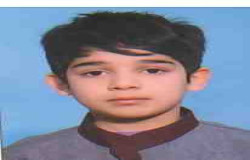 فاران پورویردی