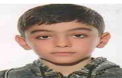 پویان محبی