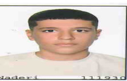 مهدی عنایتی