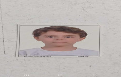 عرشیا لطفی زاده