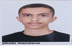 سینا همدست