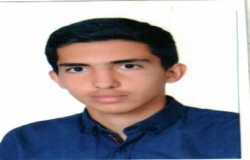 امیر عباس گل محمدی