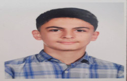 محمد مهدی مافی