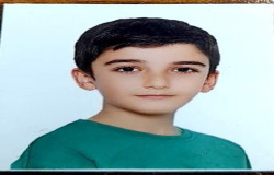 آرین محمدی یگانه
