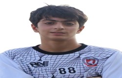 آریا اعتمادی