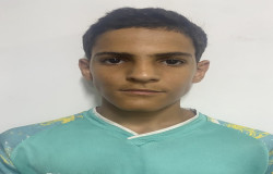 محمد حسینی دولت آبادی