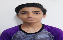 علی دالوند