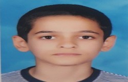 سهیل سید محمدی