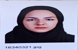 محدثه سادات پرپنجی حسینی