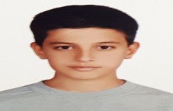 پرهام افضلی ممان