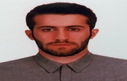 حامد جانی