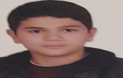 محمد مهدی رضایی