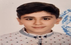 شکیب سرداشتانی