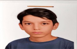محمدپارسا امیرخانی