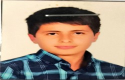 شروین نجفی