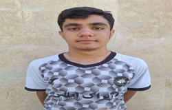 مبین نوروزی