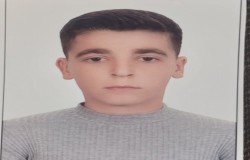 طاها احمدوند