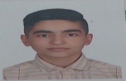 محمد رضا مهدیقلی زاده