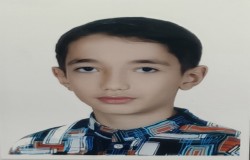 محمدمتین مهدی زاده