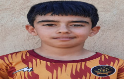 محمد پارسا همایونی