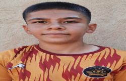 امیر عباس غریب نیکچه