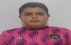 امیر علی شیخلو